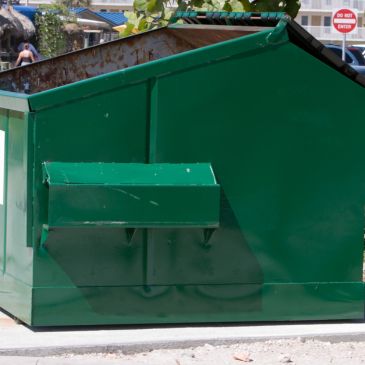 10 Yard Dumpster