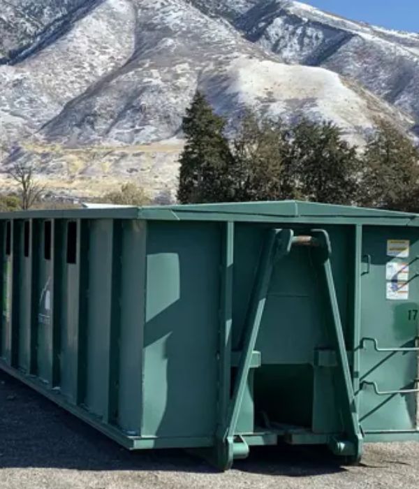 Professional Dumpster Rental Solutions in Miami